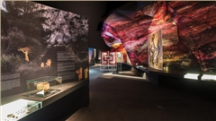 博物馆展柜定制 | 专业定制服务与厂家直供-中强展柜 博物馆展柜定制 | 专业定制服务与厂家直供-中强展柜