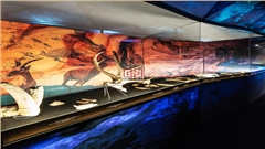 博物馆展柜定制 | 专业定制服务与厂家直供-中强展柜 博物馆展柜定制 | 专业定制服务与厂家直供-中强展柜