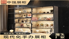 南京中强手办展柜：次元穿越之旅，珍稀收藏品鉴